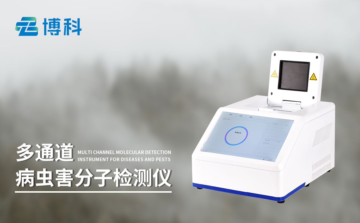 博科儀器松材線蟲分子檢測儀：助力破解傳統(tǒng)檢測效率難題
