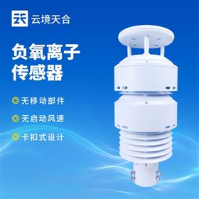 TH-WQX10B空气负氧离子检测系统