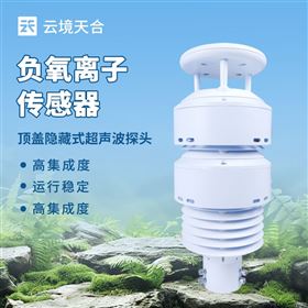 TH-WQX10B公园负氧离子监测仪