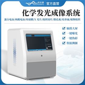 YP-HFG化學(xué)發(fā)光成像系統(tǒng)