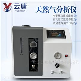 YT-GC-R1天燃氣分析儀