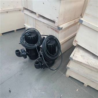 供应AS30-2CB潜水电泵 污水泵