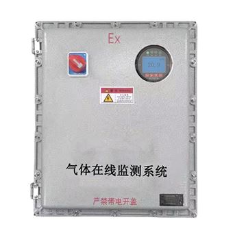 EA200-FB-C2烘干炉一氧化碳气体检测仪