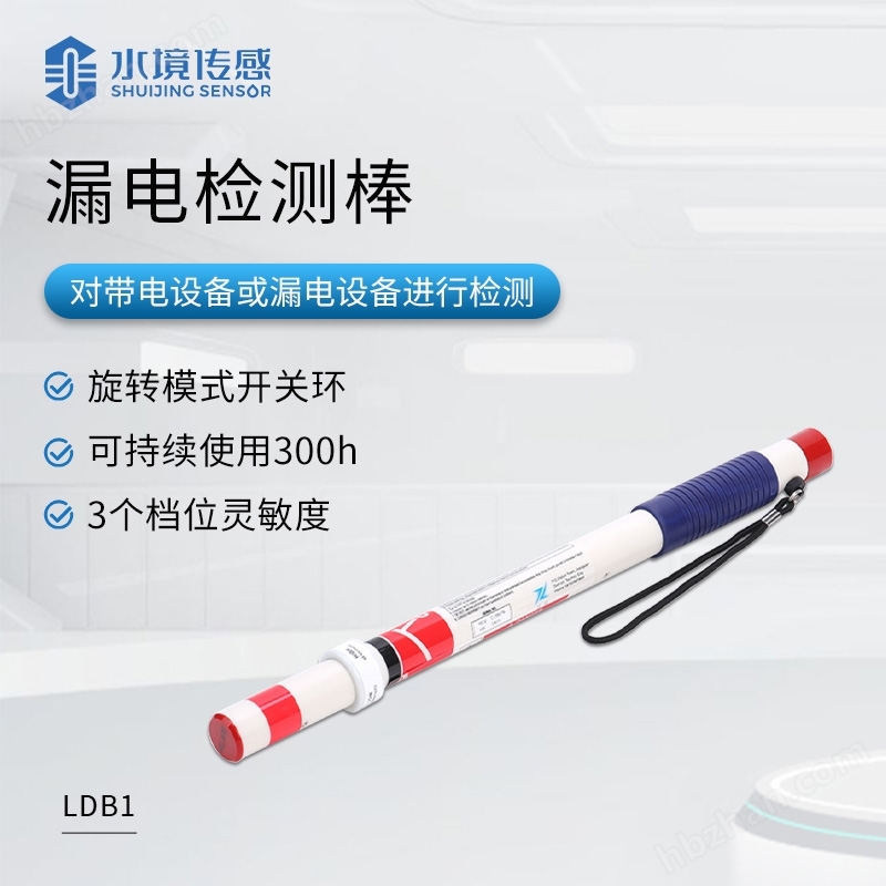 Leakage detection rod