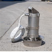 缺氧池環(huán)流攪拌器