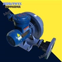 特氟龍防爆鼓風(fēng)機(jī)