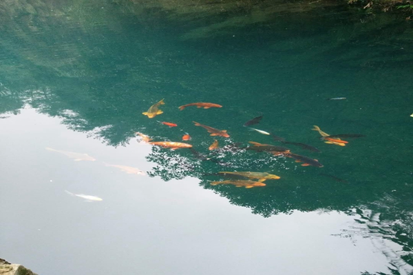 承德市農村生活污水處理設施分類分步整改典型案例