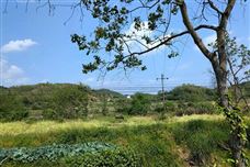 京津冀及周邊地區(qū)出現(xiàn)中至重度污染，多地啟動(dòng)預(yù)警積極應(yīng)對(duì)