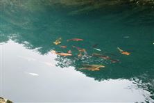 2026年1月1日起施行！《海南省城鎮(zhèn)飲用水衛(wèi)生監(jiān)督管理規(guī)定》修訂發(fā)布