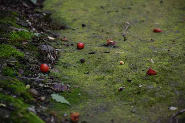 《國土空間規(guī)劃實施監(jiān)測網(wǎng)絡(luò)建設(shè)技術(shù)指南（試行）》印發(fā)