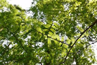 贵州省《关于进一步强化环评单位监督管理的通知（征求意见稿）》公开征求意见建议