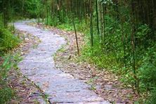 池州推進(jìn)全國土壤污染狀況普查試點(diǎn)工作