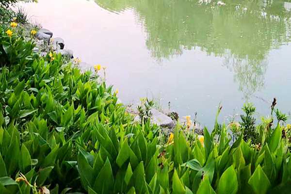 約3億！石化工業(yè)園污水處理BOOT特許經(jīng)營項目招標