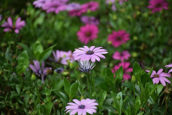 《衢州市碳账户建设和应用条例》2026年5月1日起施行！