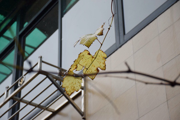 《保定市生活垃圾分類管理辦法》政策解讀