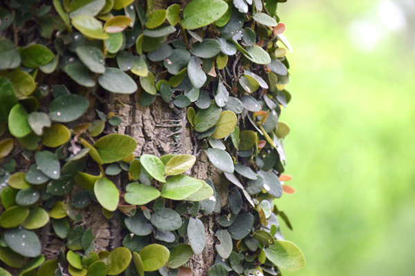 2026年度南京市挥发性有机物（VOCs）污染治理奖补资金项目申报工作启动