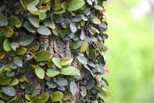 2026年度南京市挥发性有机物（VOCs）污染治理奖补资金项目申报工作启动