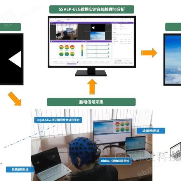 ErgoAI Brain Computer Interface System