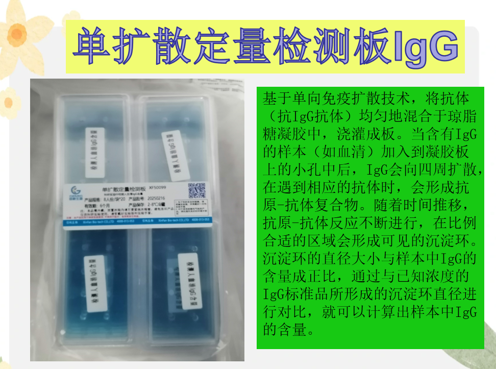 單擴散定量檢測板IgG