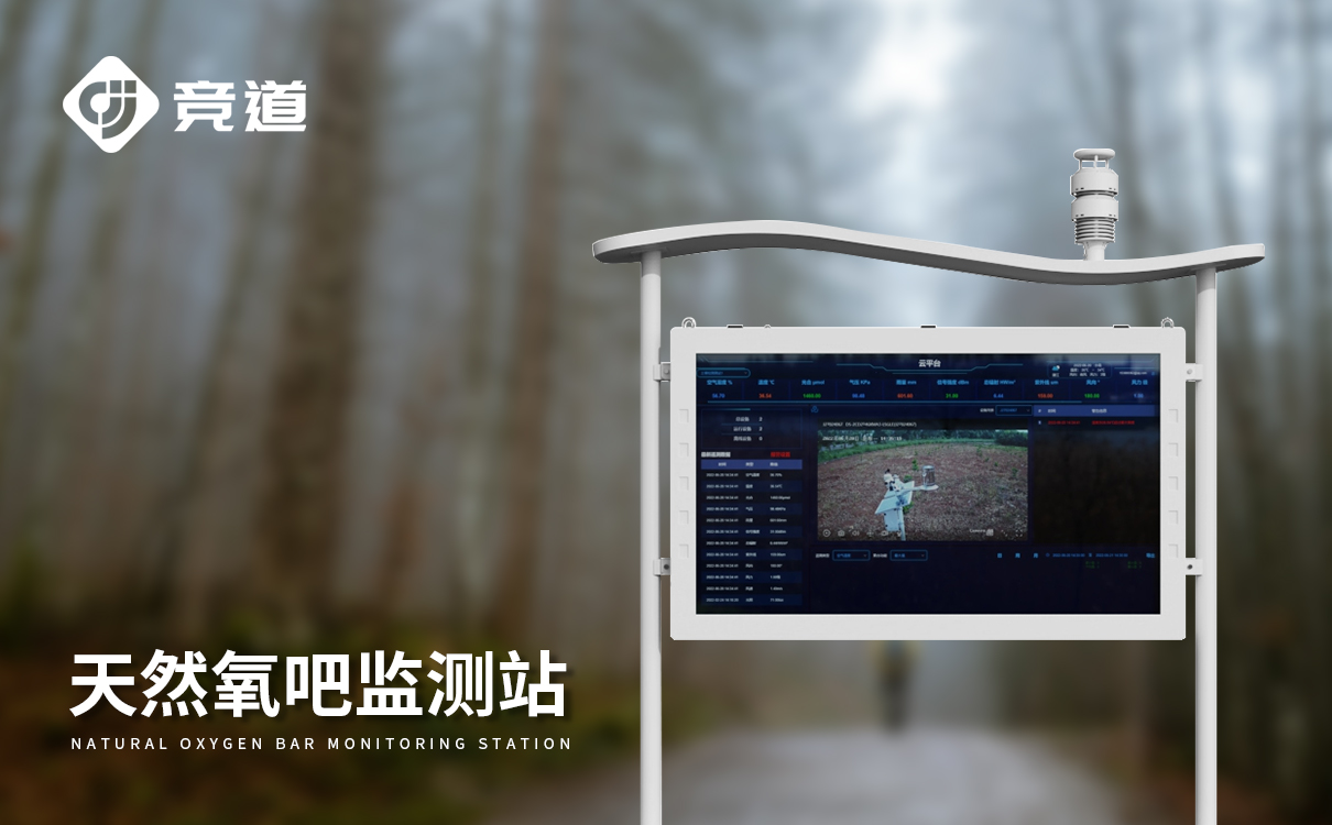 环境负氧离子监测系统