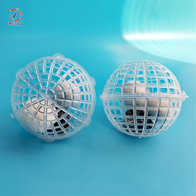 1 網(wǎng)籠球.jpg 1 網(wǎng)籠球.jpg