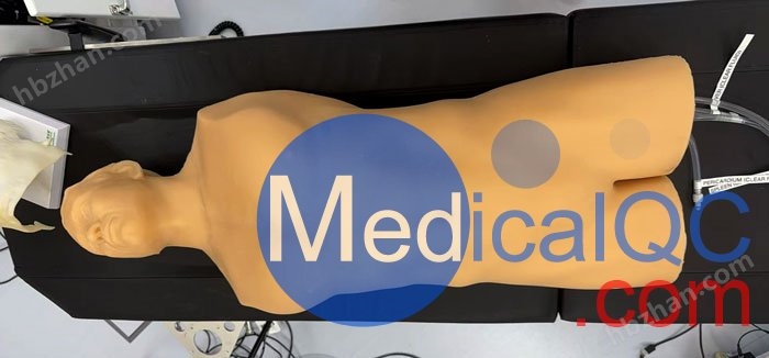 BPFAST1800训练模型